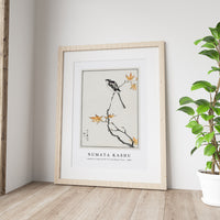 Numata Kashu - Japanese Long-tailed Tit and Maple Tree illustration from Pictorial Monograph of Birds (1885)