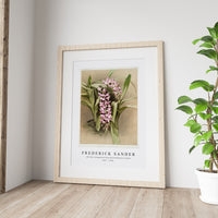 Frederick Sander - Aërides savageanum from Reichenbachia Orchid-1847-1920
