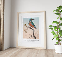 
              Barbara Regina Dietzsch - IJsvogel (Common Kingfisher)
            