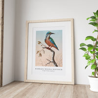 Barbara Regina Dietzsch - IJsvogel (Common Kingfisher)
