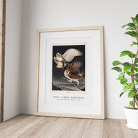 John James Audubon - Barn Owl from Birds of America (1827)