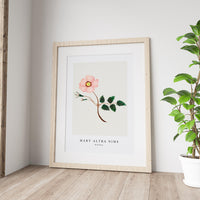 Mary Altha Nims - Wild Rose