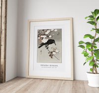 
              Ohara Koson - Crow and cherry blossom (1930 - 1975) by Ohara Koson (1877-1945)
            