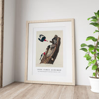 John James Audubon - Red-headed Woodpecker from Birds of America (1827)