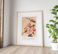 
              Ogawa Kazumasa - Beautiful photomechanical prints of Striped Camellias (1887–1897)
            