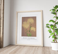 
              Ogawa Kazumasa - Beautiful photomechanical prints of Three Yellow Chrysanthemums (1887–1897)
            