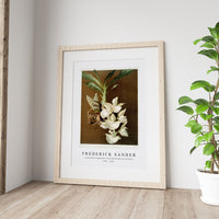 Frederick Sander - Catasetum bungerothii from Reichenbachia Orchids-1847-1920