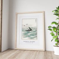 Numata Kashu - Riu Kiu House Swallow illustration from Pictorial Monograph of Birds (1885)