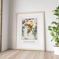 Numata Kashu - Chinese Bush-warbler and Drooping Peach iIllustration from Pictorial Monograph of Birds (1885)