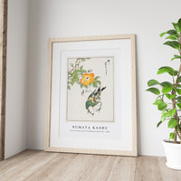 Numata Kashu - Grey Starling and Cercidiphyllum Japonicum illustration from Pictorial Monograph of Birds (1885)