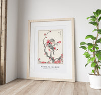 
              Numata Kashu - Pine Bunting and Plum Tree illustration from Pictorial Monograph of Birds
            