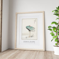 Numata Kashu - White-naped Crane and New Years Fern illustration from Pictorial Monograph of Birds (1885)