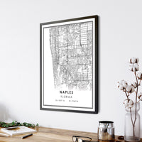
              Naples, Florida Modern Map Print 
            