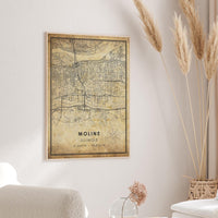 
              Moline, Illinois Vintage Style Map Print 
            