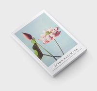 
              Ogawa Kazumasa - Beautiful photomechanical prints of Lotus Flowers (1887–1897)
            