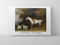 
              George Stubbs - Studies for or after The third Duke of Richmond with the Charleton Hun 1750s
            