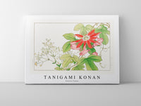 
              Tanigami Konan - Passion flower
            