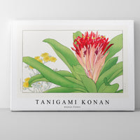 Tanigami Konan - Ananas flower