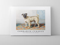 
              Conradijn Cunaues - Portrait of Edwin Vom Rath’s Pug 1880-1895
            