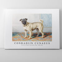 Conradijn Cunaues - Portrait of Edwin Vom Rath’s Pug 1880-1895