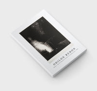 
              Odilon Redon - Below, I Saw the Vaporous Contours of a Human Form 1896
            