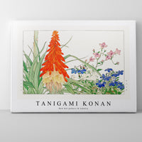 Tanigami Konan - Red hot pokers & lobelia
