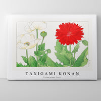 Tanigami Konan - Vintage poppy flower