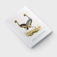 Robert Jacob Gordon - Balearica regulorum grey crowned crane (1777–1786)