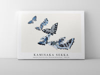 
              Kamisaka Sekka - Japanese butterfly (One Thousand Butterflies) - 1904 (4)
            