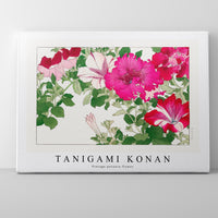 Tanigami Konan - Vintage petunia flower