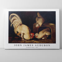John James Audubon - Farmyard Fowls (ca. 1827)