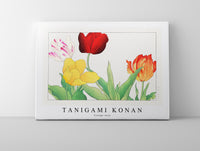 
              Tanigami Konan - Vintage tulip
            