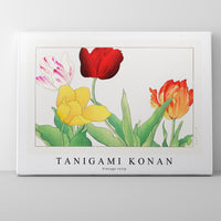 Tanigami Konan - Vintage tulip