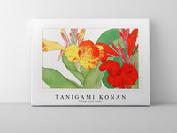 
              Tanigami Konan - Vintage canna flower
            