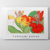 Tanigami Konan - Vintage canna flower