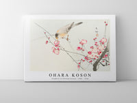 
              Ohara Koson - Songbird on blossom branch (1900 - 1936) by Ohara Koson (1877-1945)
            