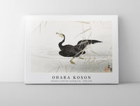 
              Ohara Koson - Japanese cormorant catching fish (1900-1910) by Ohara Koson (1877-1945)
            