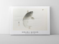 
              Ohara Koson - Carp and fly (1900 - 1930) by Ohara Koson (1877-1945)
            
