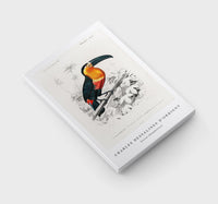 
              Charles Dessalines D'Orbigny - Toucan (Ramphastos)
            
