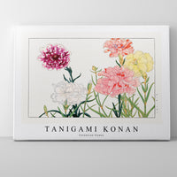 Tanigami Konan - Carnation flower