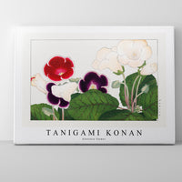 Tanigami Konan - Gloxinia flower