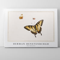 Herman Henstenburgh - Three Butterflies