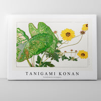 Tanigami Konan - Caladium & coreopsis