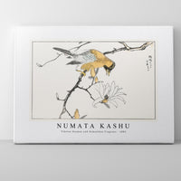 Numata Kashu - Tibetan Hoopoe and Osmanthus Fragrans illustration from Pictorial Monograph of Birds (1885)