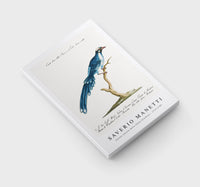 
              Saverio Manetti - Cucule celeste della China (Cuckoo) 1723-1785
            