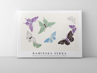 
              Kamisaka Sekka - Vintage butterfly (One Thousand Butterflies) - 1904 (5)
            