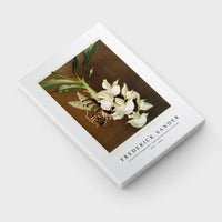 Frederick Sander - Catasetum bungerothii from Reichenbachia Orchids-1847-1920