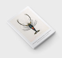 
              Charles Dessalines D'Orbigny - Crimson Crawfish (Palemon Ornatum) (2)
            