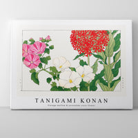 Tanigami Konan - Vintage mallow & jerusalem cross flower