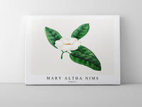 
              Mary Altha Nims - Magnolia
            